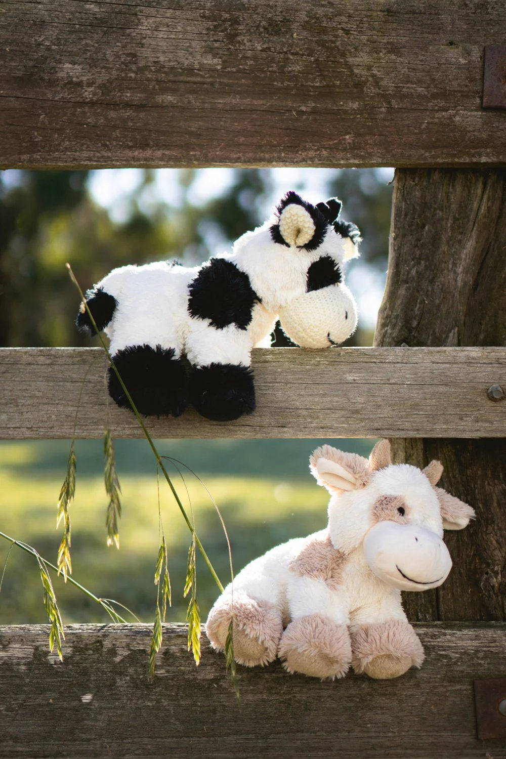Nana Huchy - Coco The Cow - Beige Soft Toy Nana Huchy 