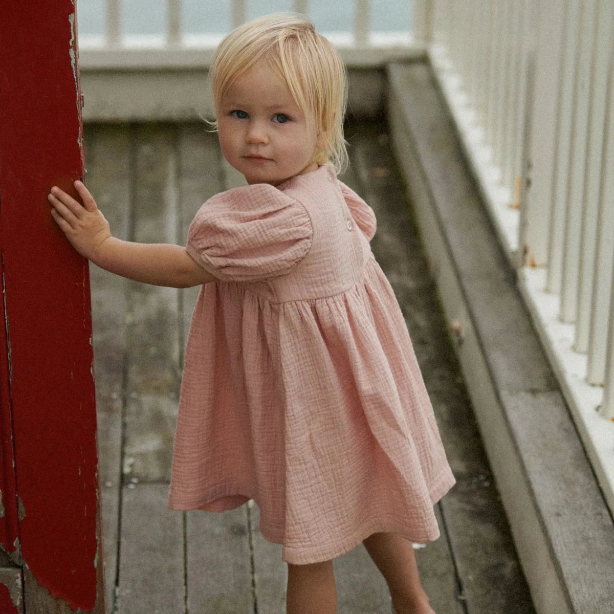 Nature Baby - Albertine Dress | Rose Dust Short Sleeve Dress Nature Baby 