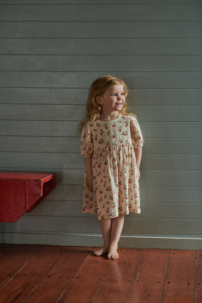 Nature Baby - Albertine Dress | Strawberry Blush Short Sleeve Dress Nature Baby 