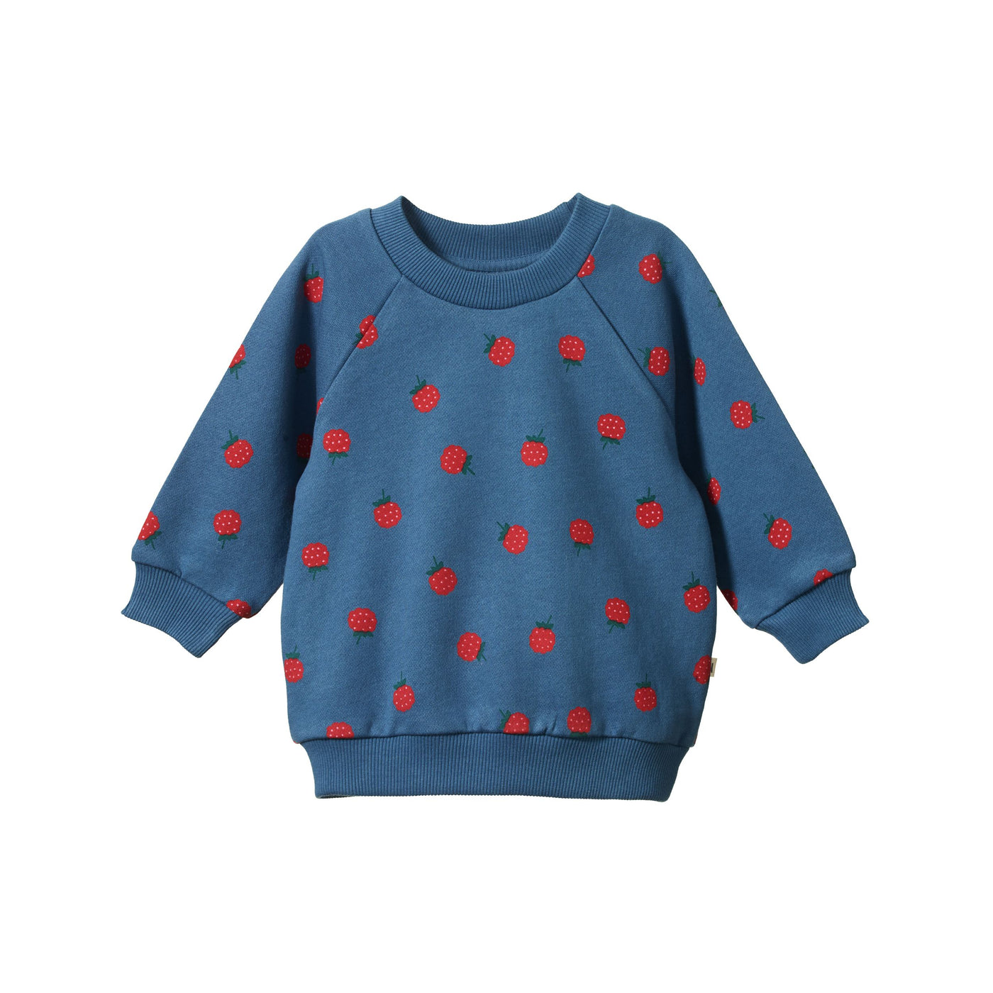 Nature Baby - Emerson Sweater | Raspberry Blue Jumper Nature Baby 