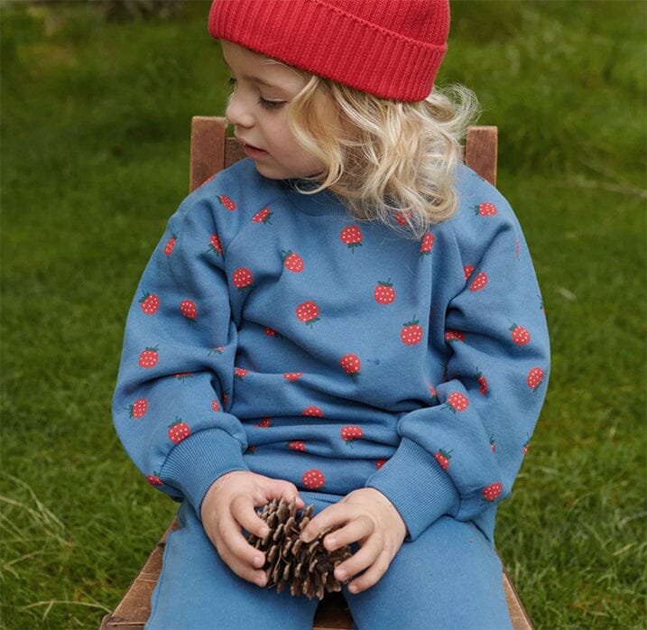 Nature Baby - Emerson Sweater | Raspberry Blue Jumper Nature Baby 