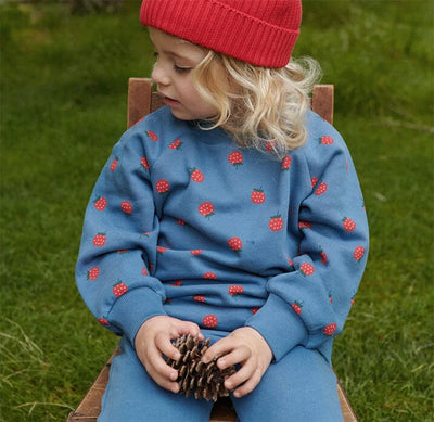 Nature Baby - Emerson Sweater | Raspberry Blue Jumper Nature Baby 