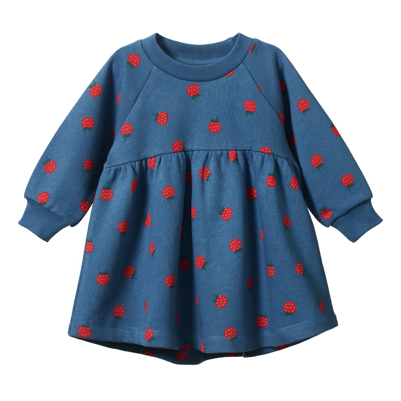 Nature Baby - Ines Dress | Raspberry Blue Long Sleeve Dress Nature Baby 