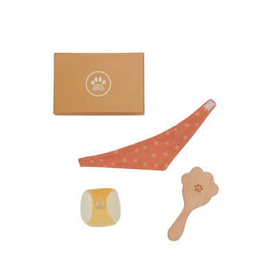 Olli Ella Dinkum Dogs - Starter Set Doll Accessories Olli Ella 