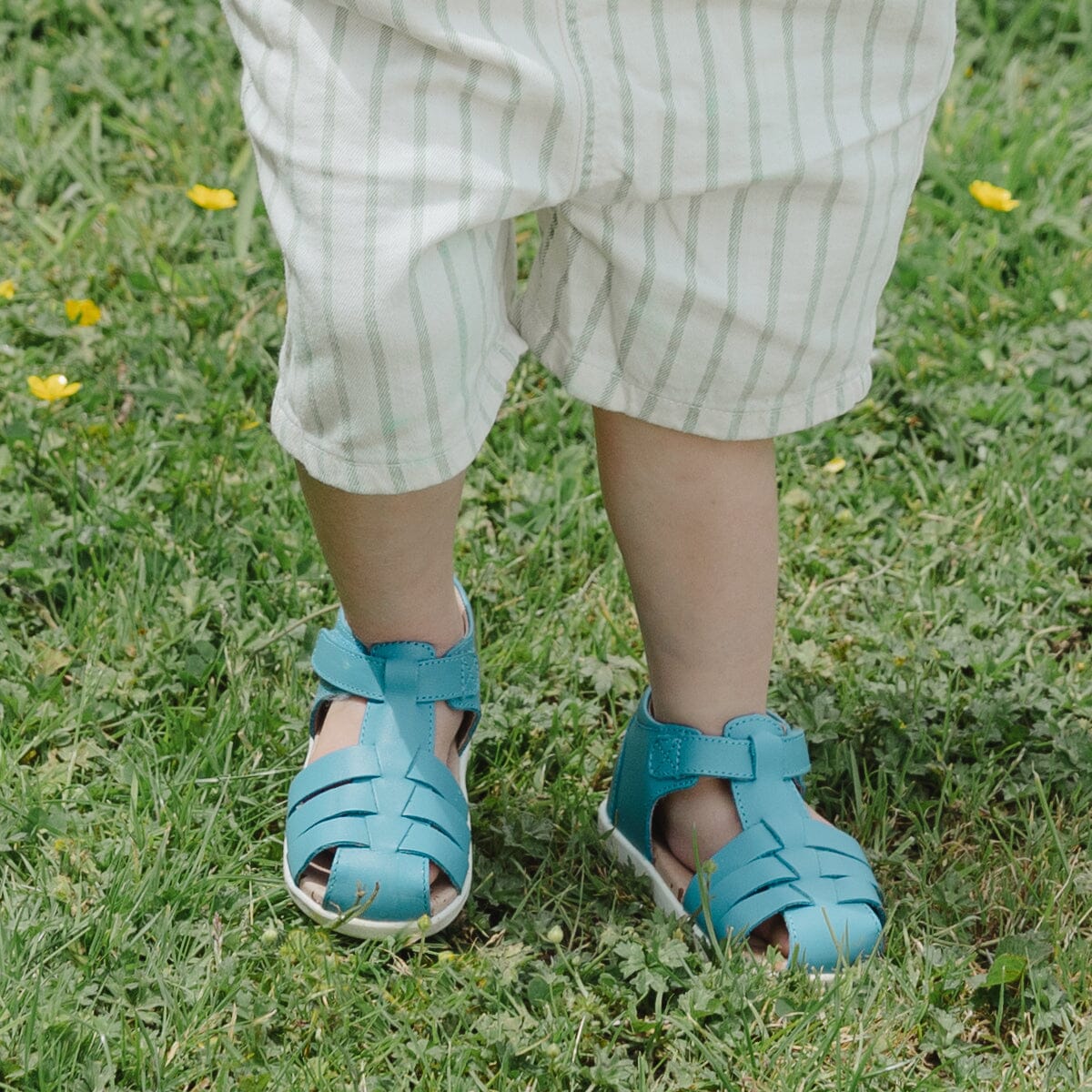 Pretty Brave Billie - Playground Blue Sandal Pretty Brave 