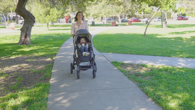 UPPAbaby Vista V3 With Bassinet - Evelyn