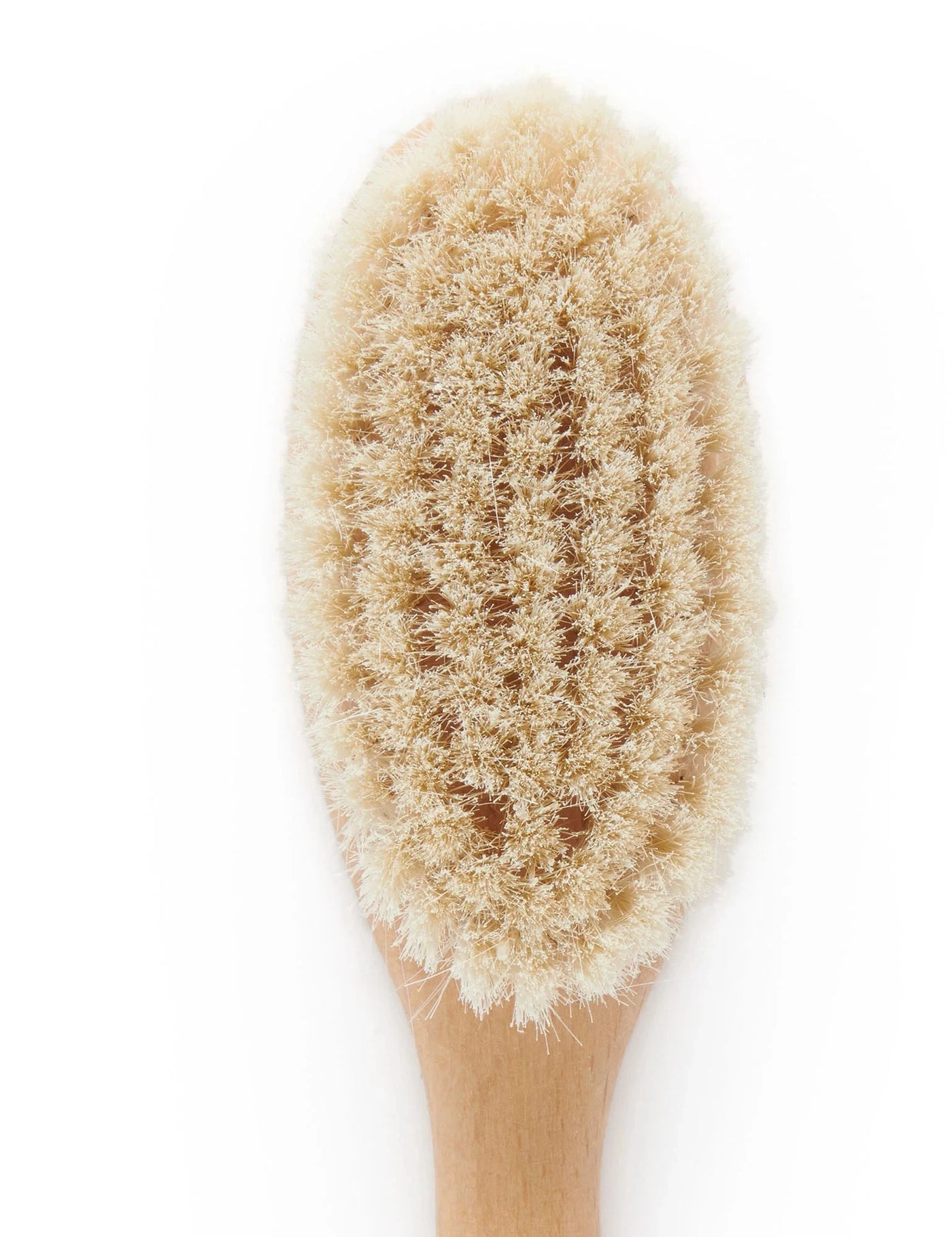 Purebaby - Goat Hair Brush W Box - Natural Hair Brush Purebaby 