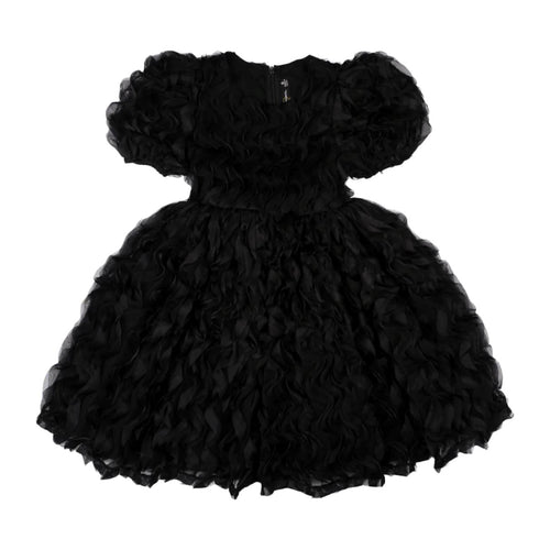 Rock Your Baby - Black Ruffle Tulle Party Dress