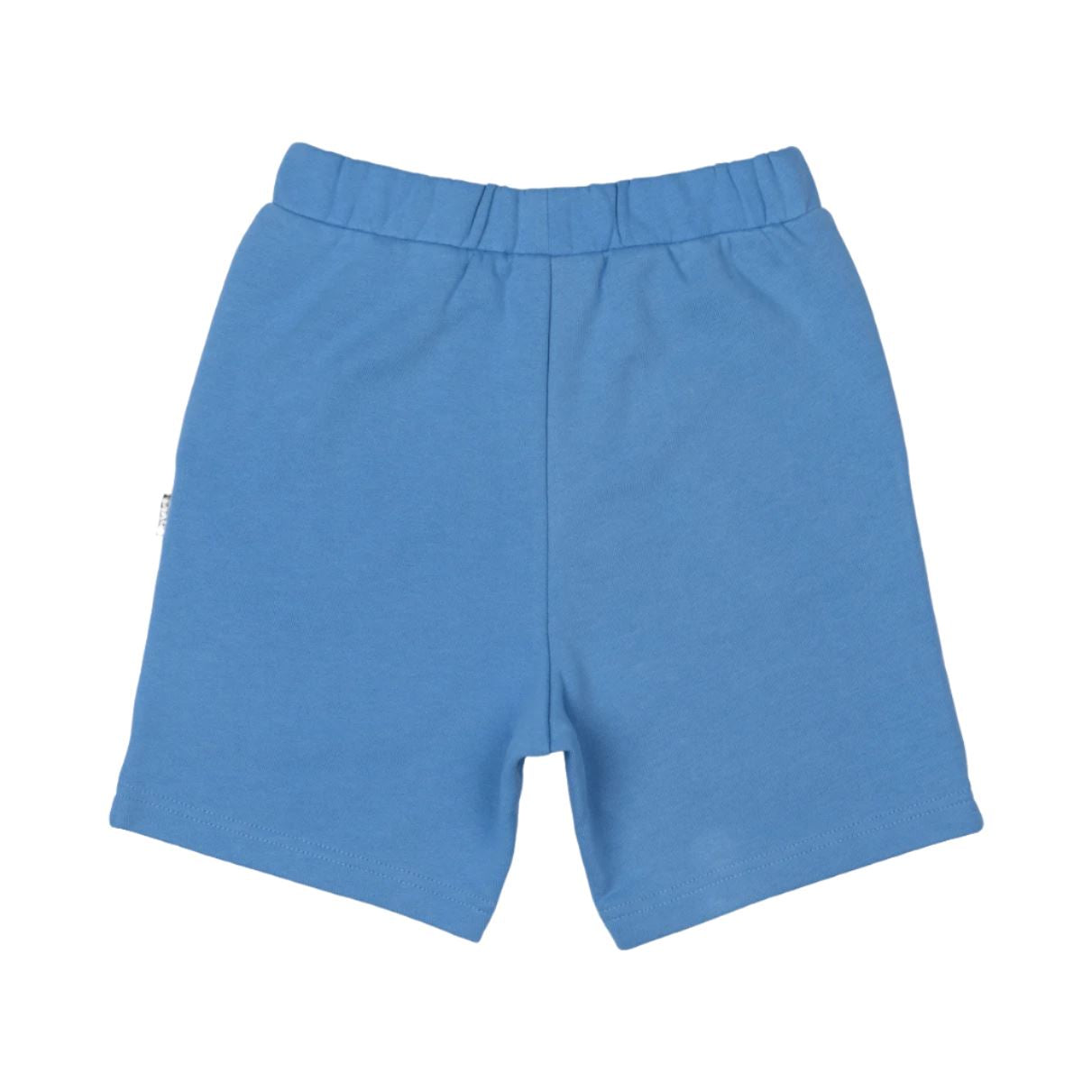 Rock Your Baby - Blue Walk Shorts Shorts Rock Your Baby 