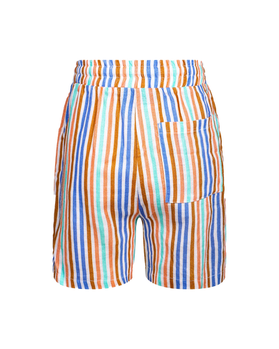 Rock Your Baby - Jurassic Jam Stripe Textured Shorts Shorts Rock Your Baby 