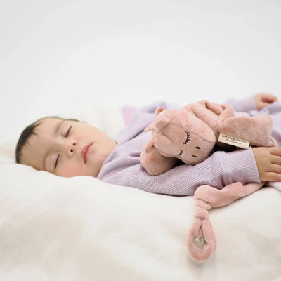 Schnorg Baby - Schnorglesaurus Mini Rose Soft Toy Schnorg Baby 