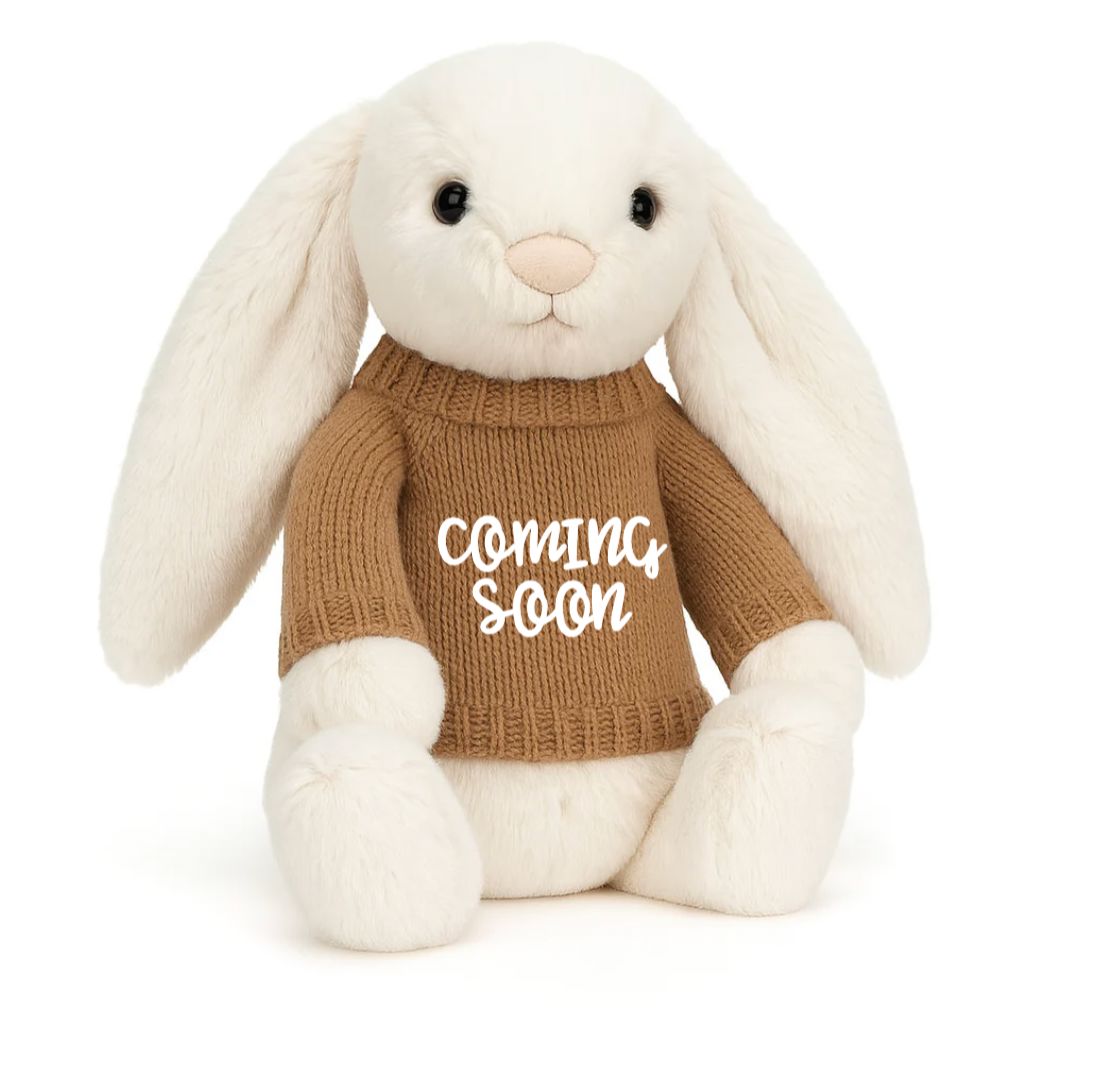 Soft Toy Knitted Jumper Biscuit - Coming Soon | Fits Medium Bashful Jellycat (JUMPER ONLY) Cherrie Baby Boutique Script 