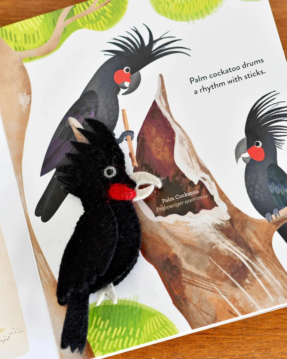 Tara Treasures - Busy Beaks Finger Puppets and Book Set Finger Puppets Tara Treasures 