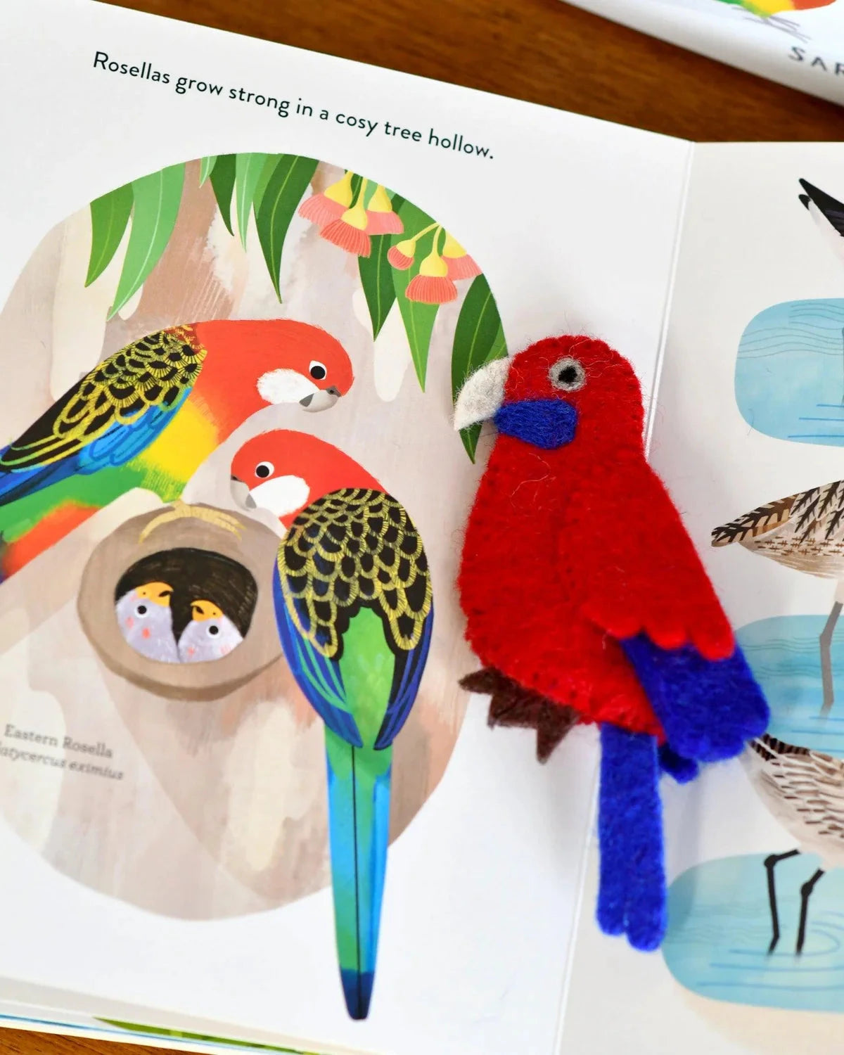 Tara Treasures - Busy Beaks Finger Puppets and Book Set Finger Puppets Tara Treasures 