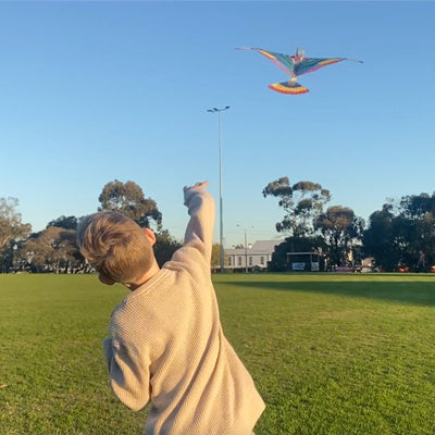 Tiger Tribe - Tim | The Original Flying Bird Toy Tiger Tribe 