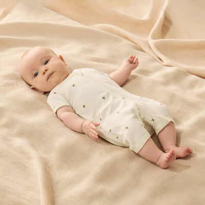 Wilson & Frenchy - Bee Mine Organic Boyleg Zipsuit Zipsuit Wilson & Frenchy 