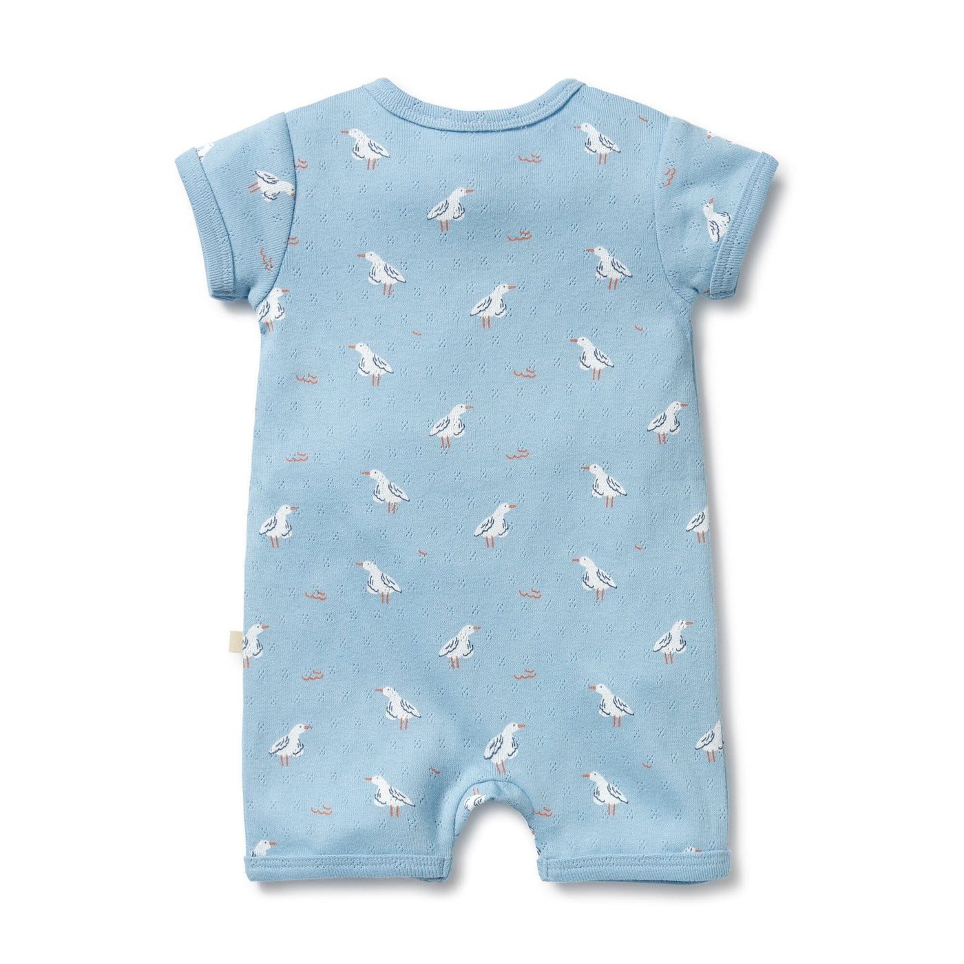 Wilson & Frenchy - Sunny Seagulls Organic Pointelle Boyleg Zipsuit Zipsuit Wilson & Frenchy 