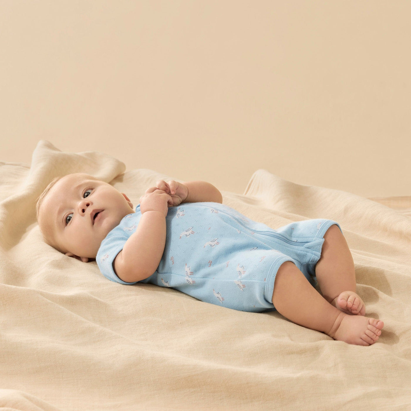 Wilson & Frenchy - Sunny Seagulls Organic Pointelle Boyleg Zipsuit Zipsuit Wilson & Frenchy 