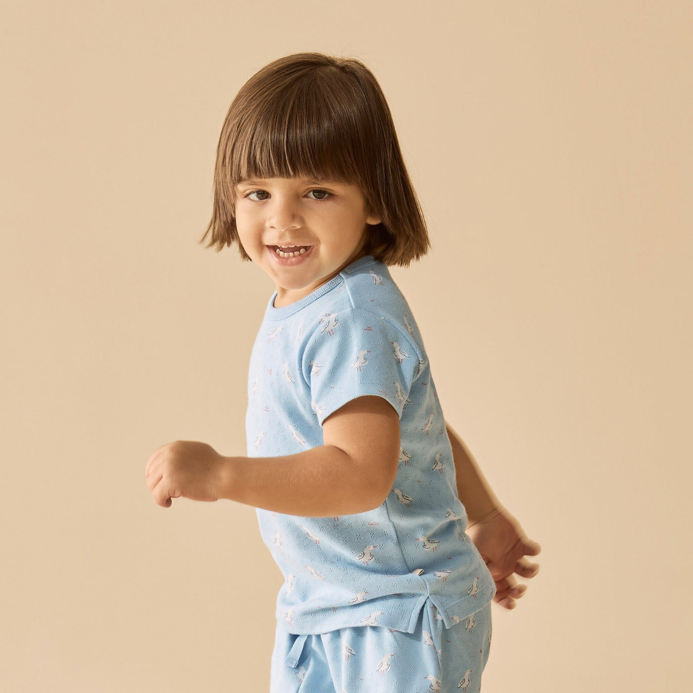Wilson & Frenchy - Sunny Seagulls Organic Pointelle Short Sleeved Pyjamas Short Sleeve Pyjamas Wilson & Frenchy 