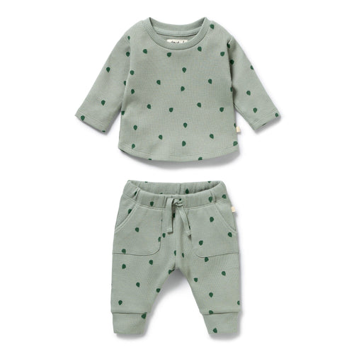 Wilson & Frenchy - Tumbletwig Organic Waffle Set