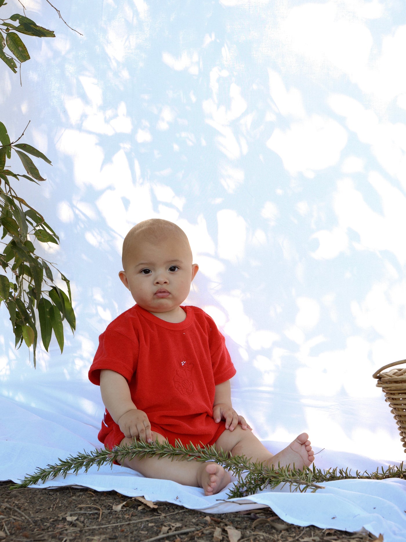 Ziggy Lou - Playsuit | Shawn The Prawn Playsuit Ziggy Lou 