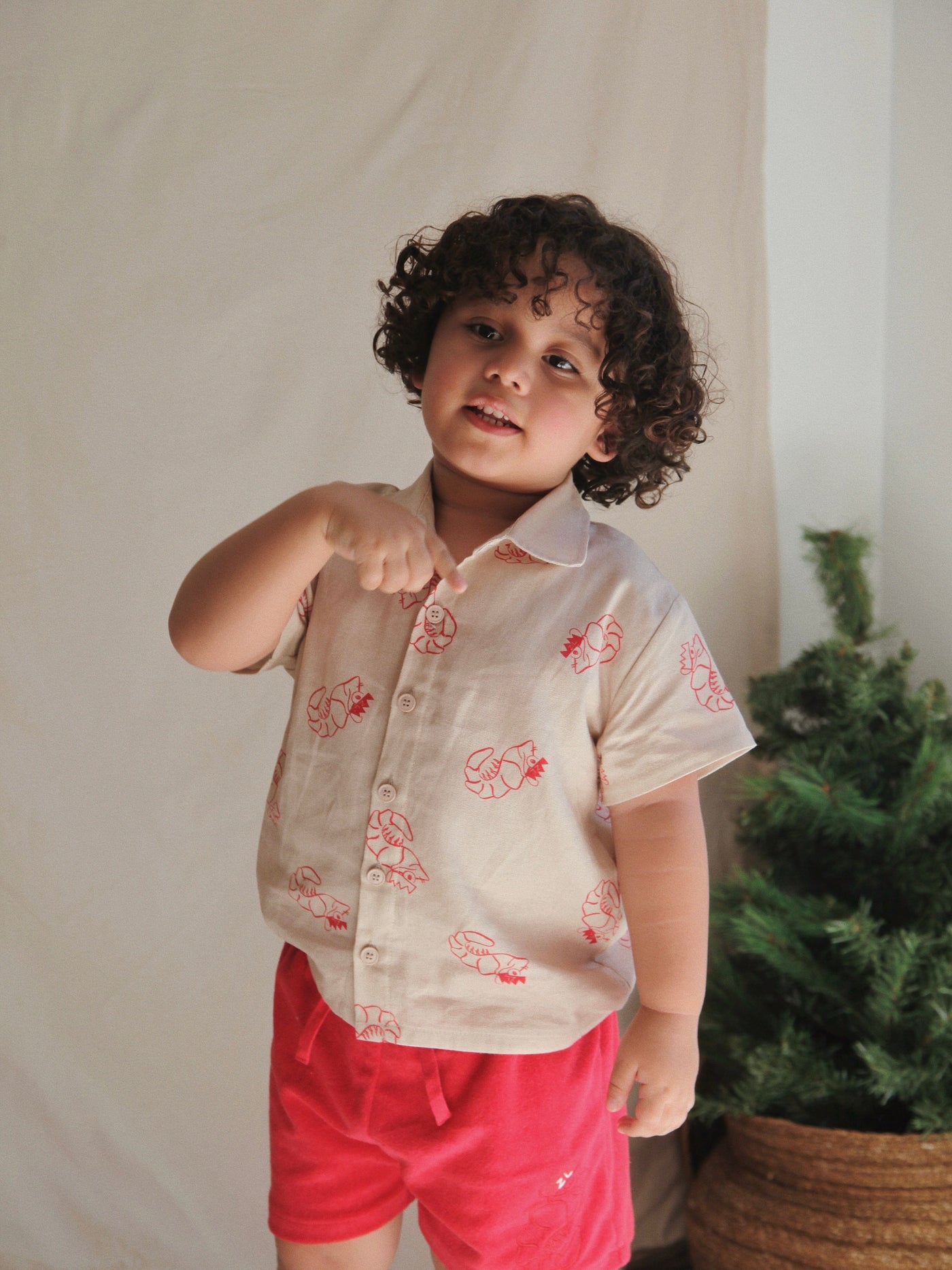 Ziggy Lou - Shirt | Shawn The Prawn Short Sleeve Shirt Ziggy Lou 