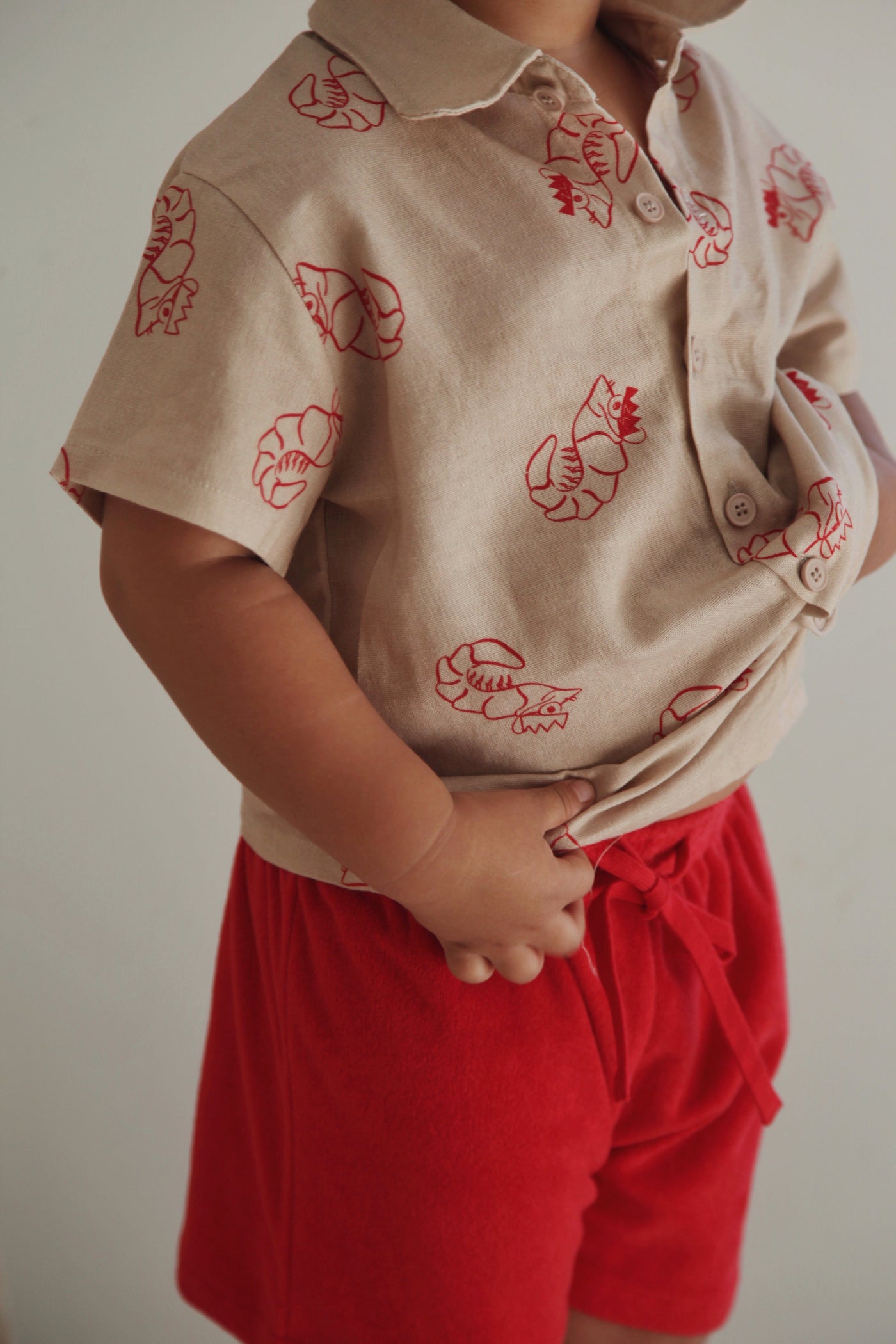 Ziggy Lou - Shirt | Shawn The Prawn Short Sleeve Shirt Ziggy Lou 