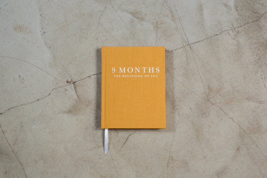 9 Months - The Beginning Of You Journal Write To Me 