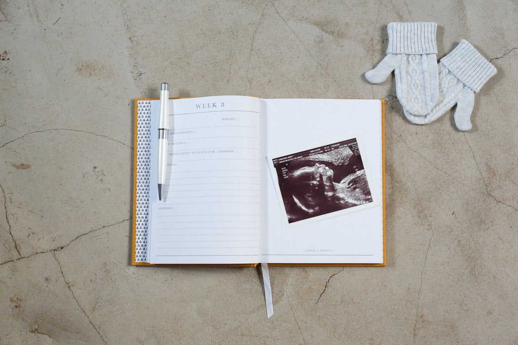 9 Months - The Beginning Of You Journal Write To Me 