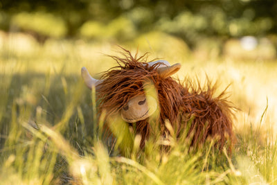 Heidi the Highland Cow Soft Toy Nana Huchy 