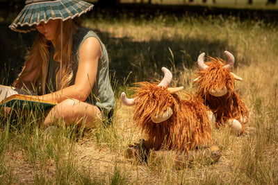 Heidi the Highland Cow Soft Toy Nana Huchy 