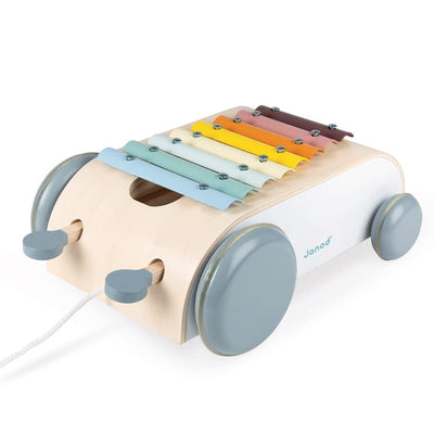 Janod Cocoon Xylo Roller Wooden Toy Janod 