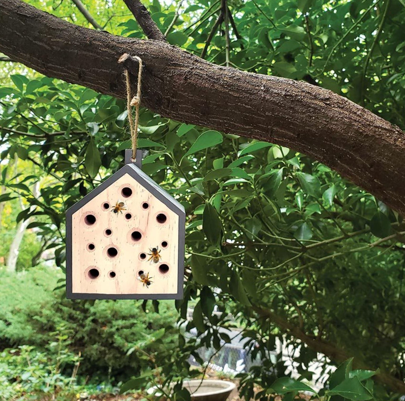 Kikkerland Little Bee House Wooden Toy IS Gifts 