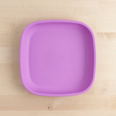 Large Flat Plate Feeding Re-Play Purple 