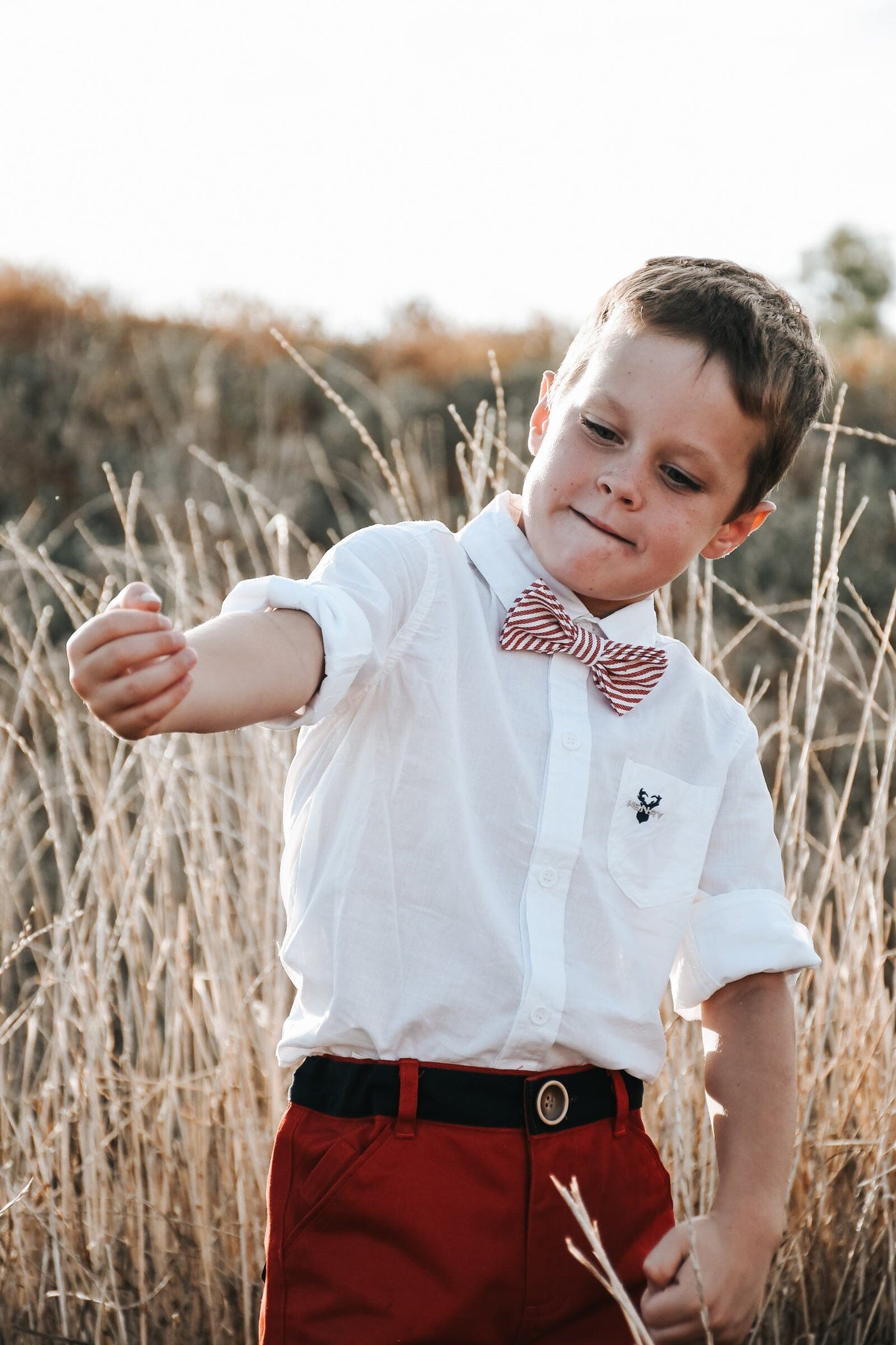 Love Henry Dress Shirt - White Short Sleeve Shirt Love Henry 