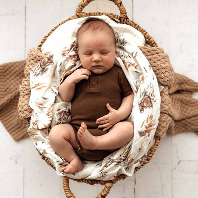 Organic Chocolate Short Sleeve Bodysuit Bodysuit Snuggle Hunny Kids 