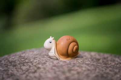 Rubber Garden Friend - Snail Teether Tikiri 