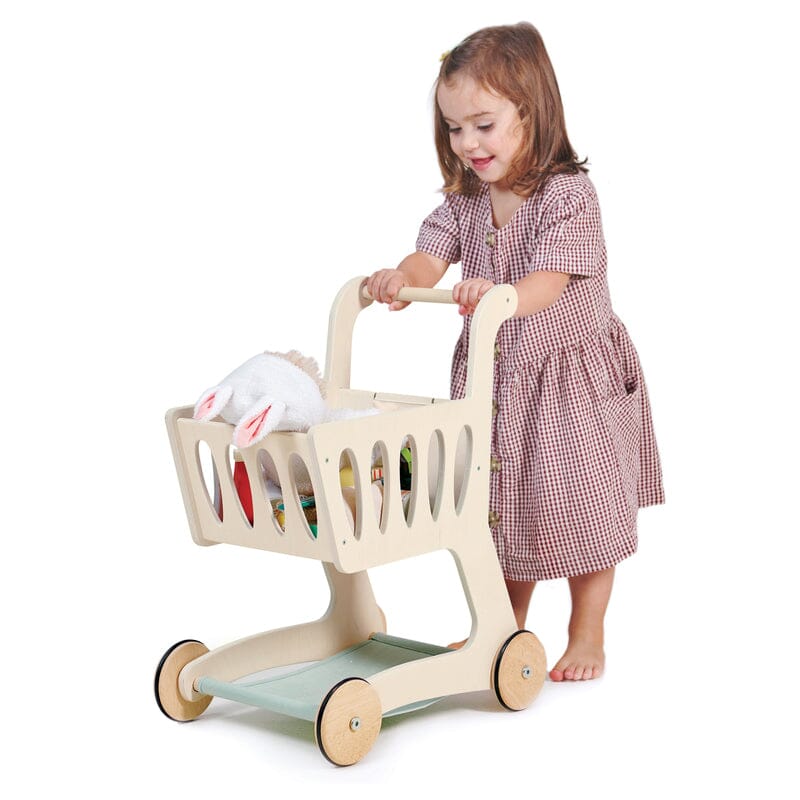 Shopping Cart Playsets Tender Leaf Toys 