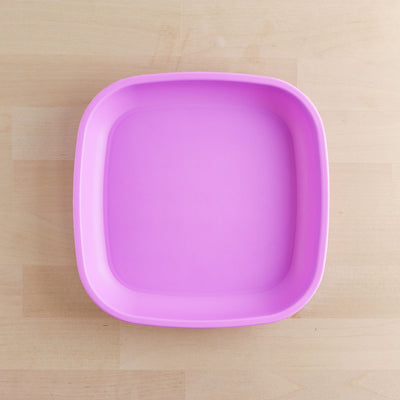 Small Flat Plate Feeding Re-Play Purple 