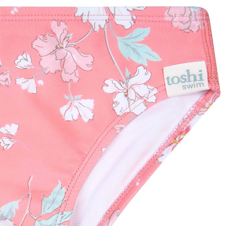Toshi Classic Bikini Bottoms - Scarlett Bikini Toshi 