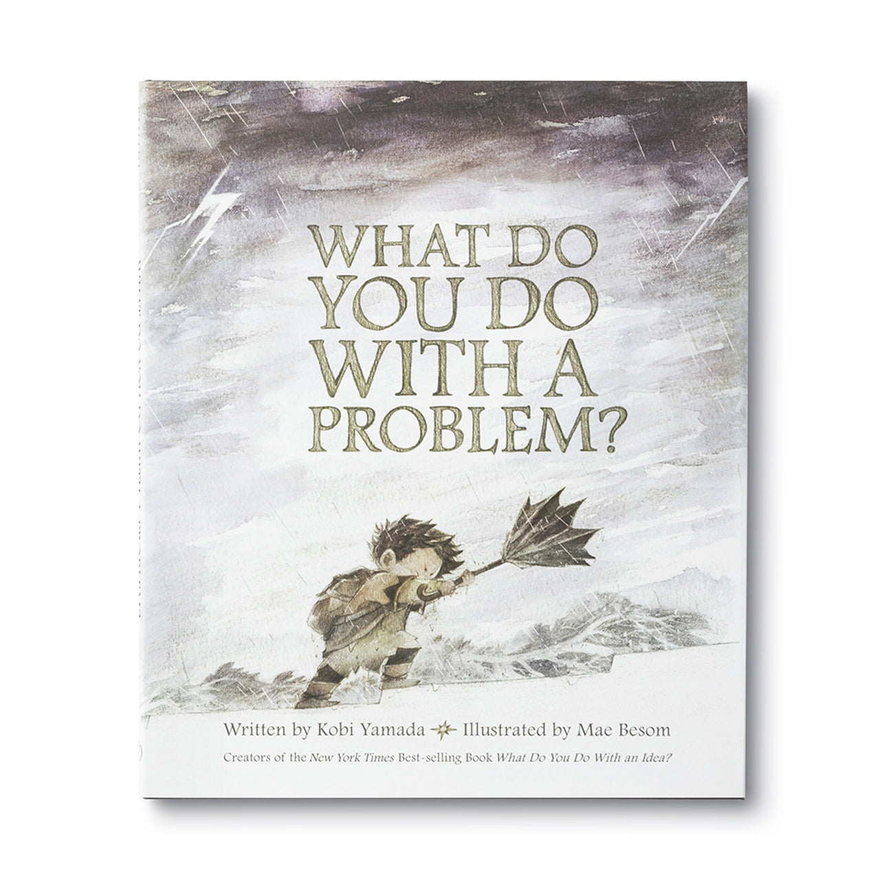 What Do You Do With A Problem Book Compendium 